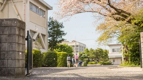 就学相談とは？いつ・誰に・何を相談するのか。受けないまま入学した私が今思うこと