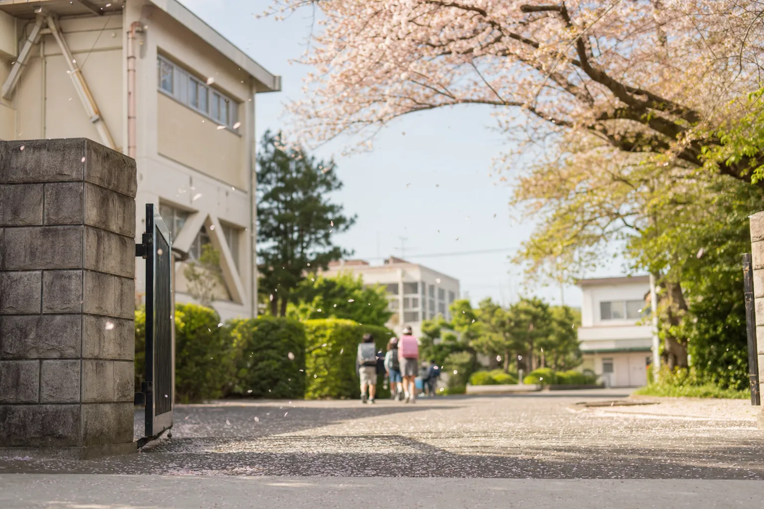 就学相談とは？いつ・誰に・何を相談するのか。受けないまま入学した私が今思うこと